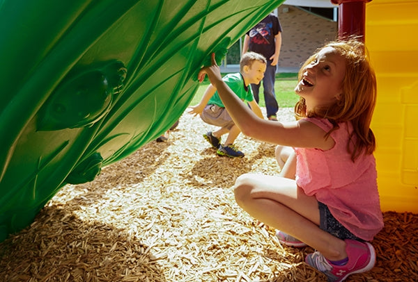 UltraPlay Hawk's Nest Play System with Ground Spikes